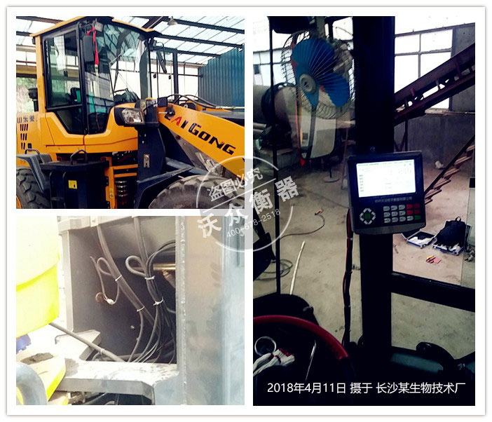 �����Lɳ�ҹ�˾�b�d�C��ӳӰ��b�F��