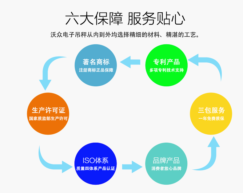 voz-w100型電子吊秤 voz-w100型電子吊秤